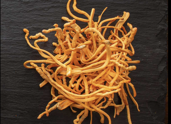 Dried orange cordyceps mushrooms on a dark slate surface